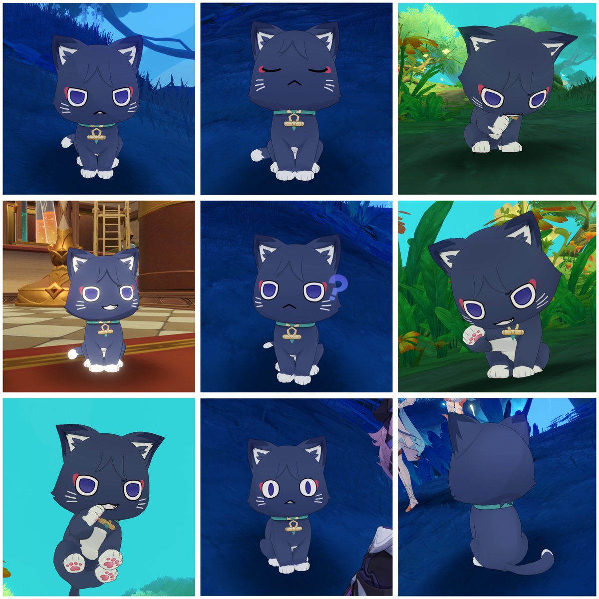 tyokogenshin's tweet image. マシュ猫collection