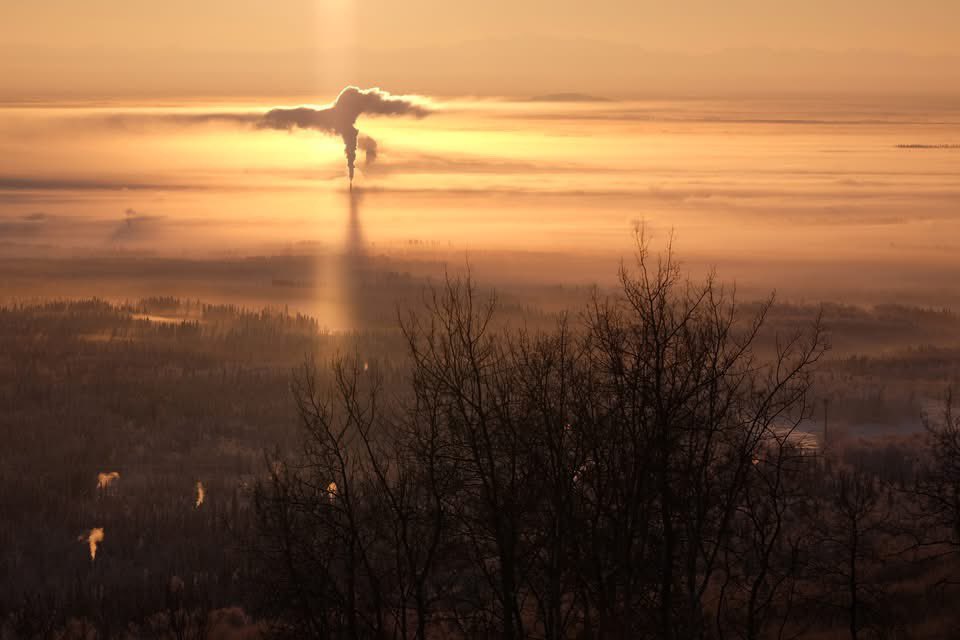 ayu_yg's tweet photo. 本日のアイスフォグ撮影会
Inフェアバンクス
#fairbanks #alaska #nature #icefog #thealaskalife #ilovealaska #40below #世界の絶景 #オーロラ写真家 #ネイチャーカメラマン #自然写真家 #アラスカ https://t.co/cUS9nLcYpO