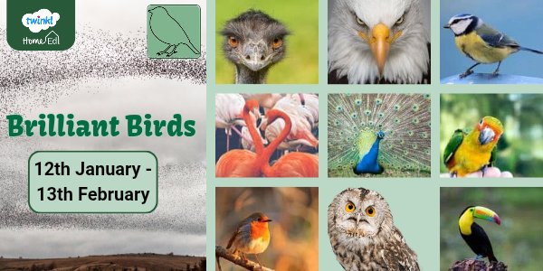 Twinkl Home Educators tweet media