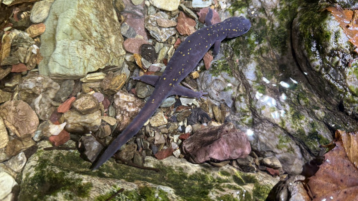 ナミウモ tweet media