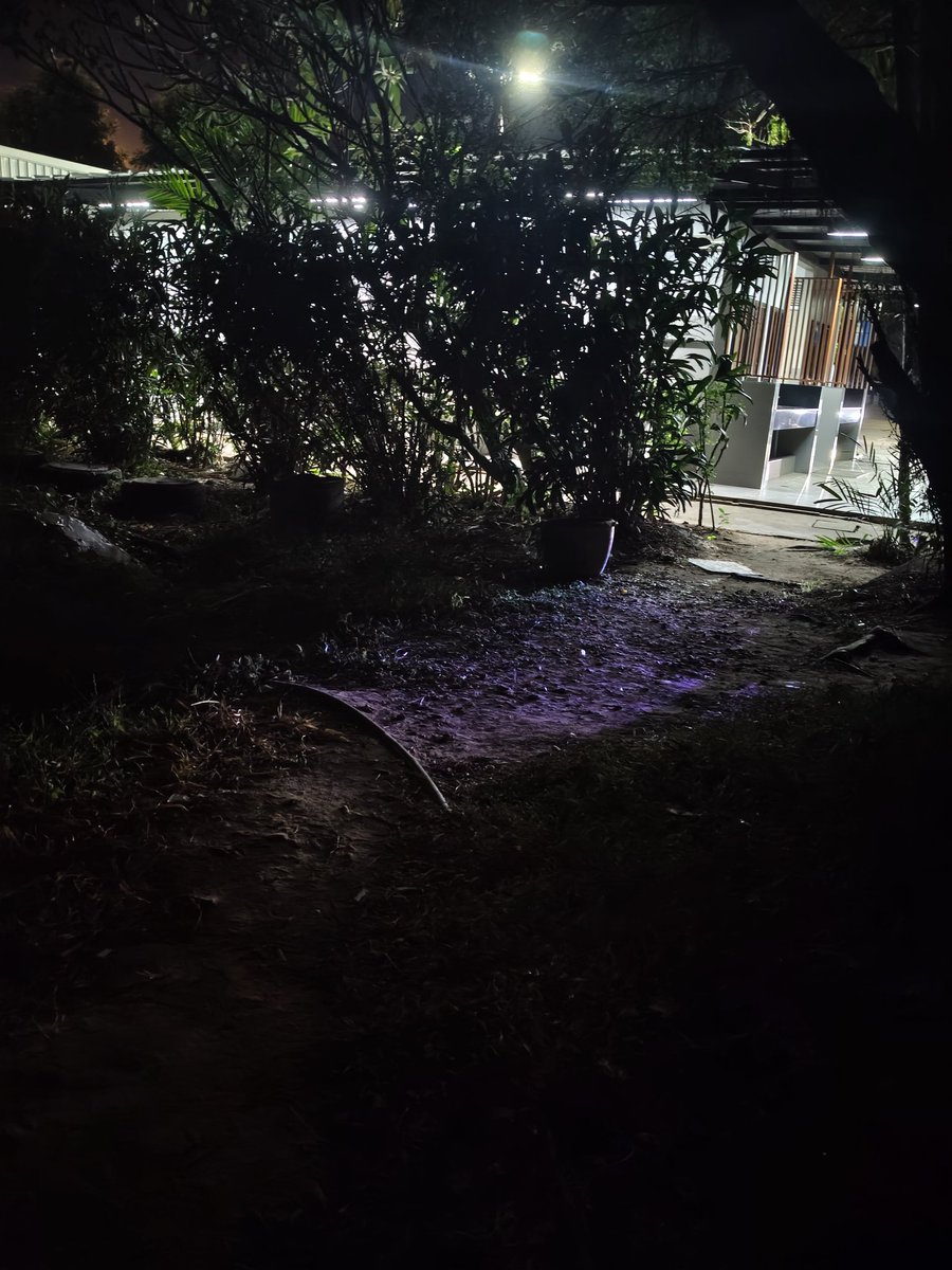 CAP37764443's tweet photo. #บัวขาว #ภายนอก #ปตท
อยากอมควย พี่ไบ,รุก,ชายแท้
ทักด่วน https://t.co/idOQVWAWQa