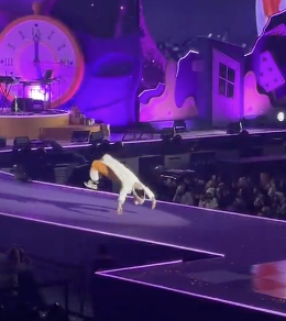 hahano5687's tweet image. what is going on at the xdiz function