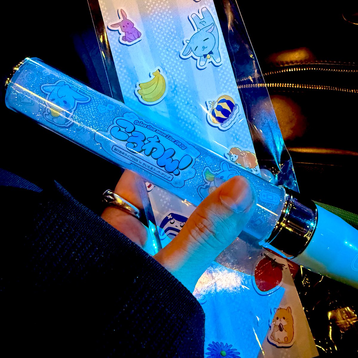 らっころん(=^・^=) ころんくんのワンマンライブを観にさいたまスーパーアリーナへお邪魔