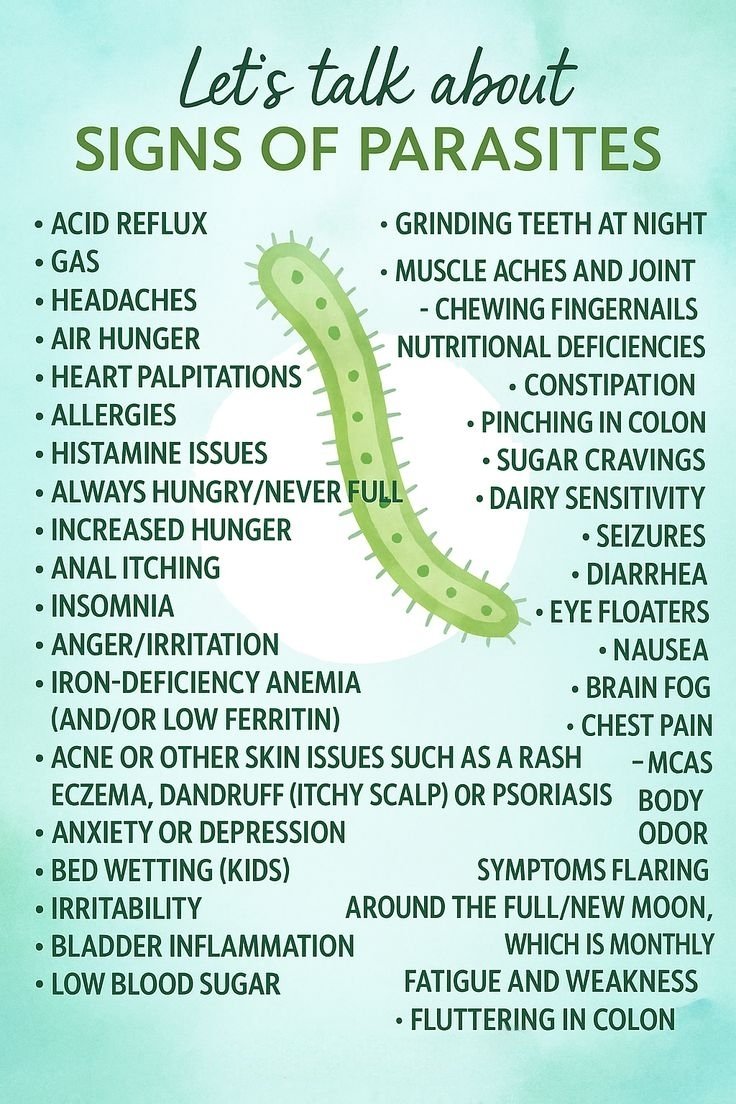 🚨 Your body gives clues before it breaks down.

Brain fog. Sugar cravings. Skin flare-ups. Mood swings.
Sometimes these signs point to gut imbalance — not willpower or stress.

Your digestive system affects energy, mood, immunity, and skin more than most people realize.

Support