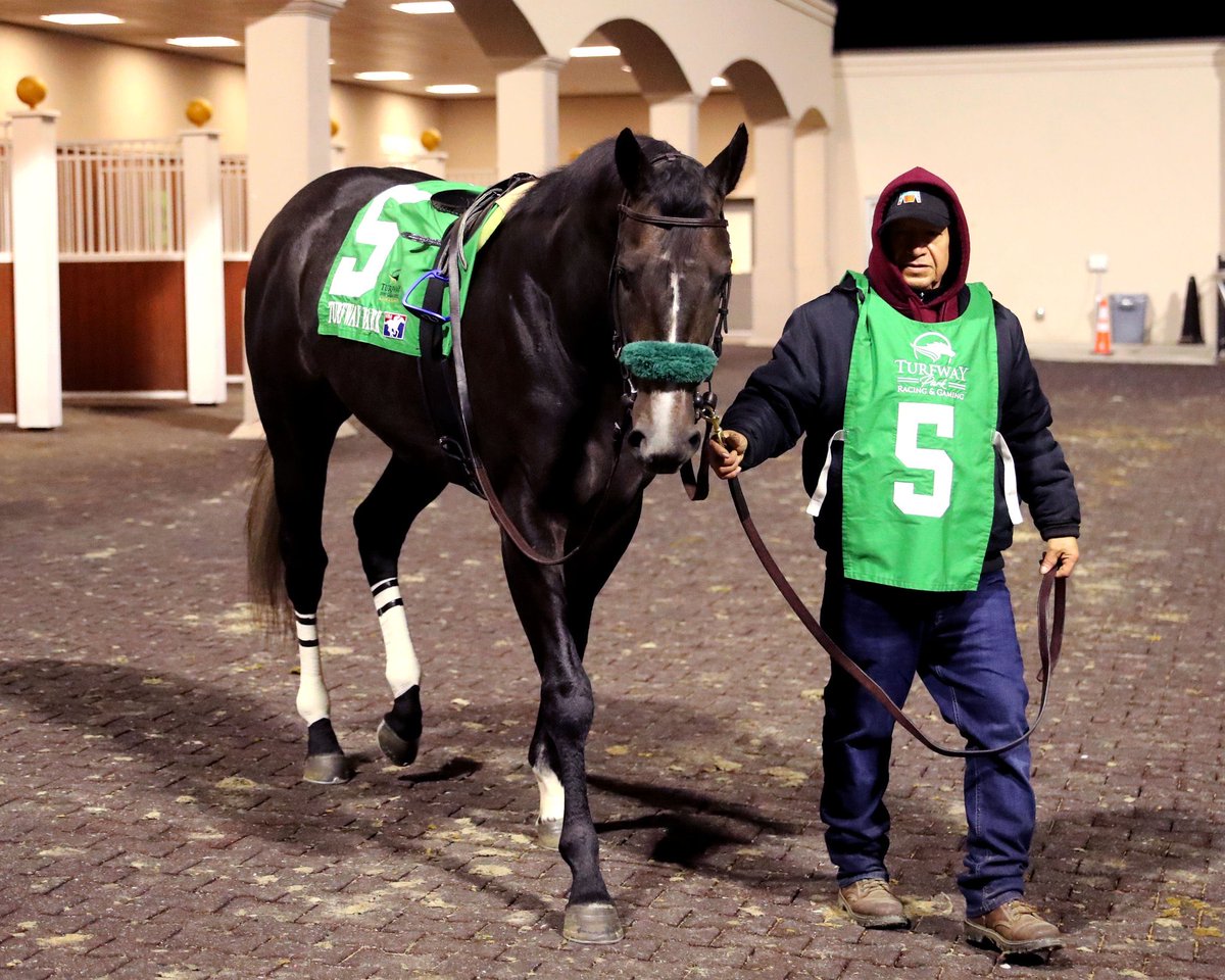 SantulliMS's tweet photo. Hometown Bound makes it 2-2 Winning the Turfway Prevue S. Going wire to wire with @VCarrasco28 aboard 
@JorgeDuarteCNS trained https://t.co/wpnJ1I3LEu