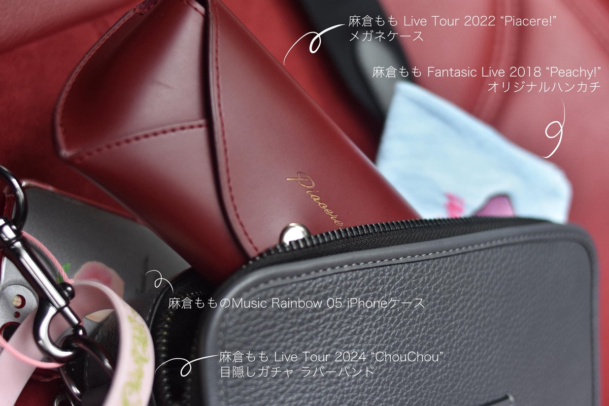 Kobatoon5884's tweet photo. こういうオタクバッグが好きでトークイベントに持っていってる https://t.co/d4JVmIFDiG