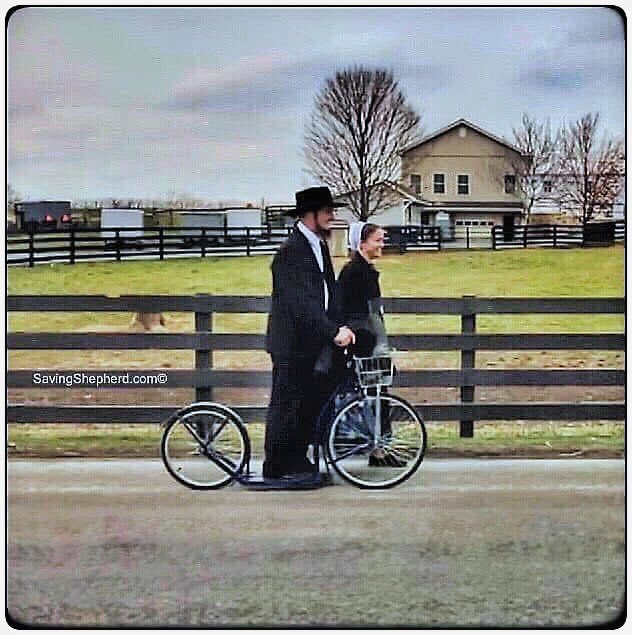 SavingShepherd's tweet image. “#Life is not about receiving at all times; it is a combination of being #thankful 4 what u have as blessings &amp;amp; #sharing those #blessings with others who need a little fraction of what u have."  pulsifer

#blessed #quoteoftheday #SavingShepherd #country #photooftheday #quotes 🇺🇸