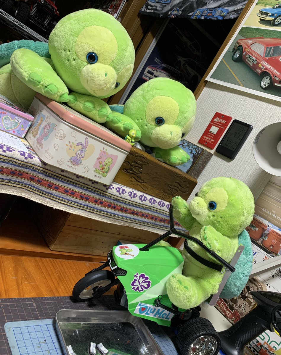 🐢パル　ぼくのできた❣️
でもあしたからおしごとだからはしるのらいしゅうだって🥲

#オルメルのいる生活