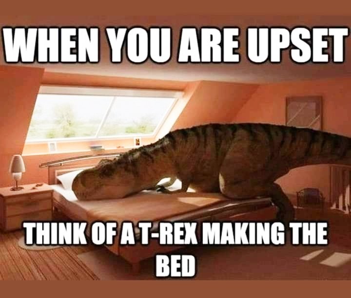 LouieKerr8's tweet image. 🛏️🦖😂