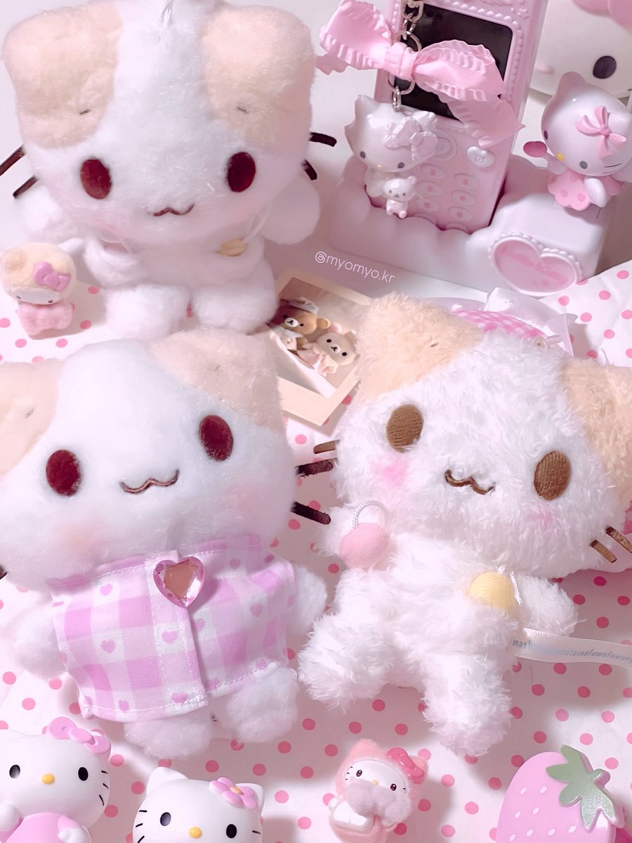 myomyo_kr's tweet image. 이렇게 귀여운데 ෆ ͒•∘̬• ͒