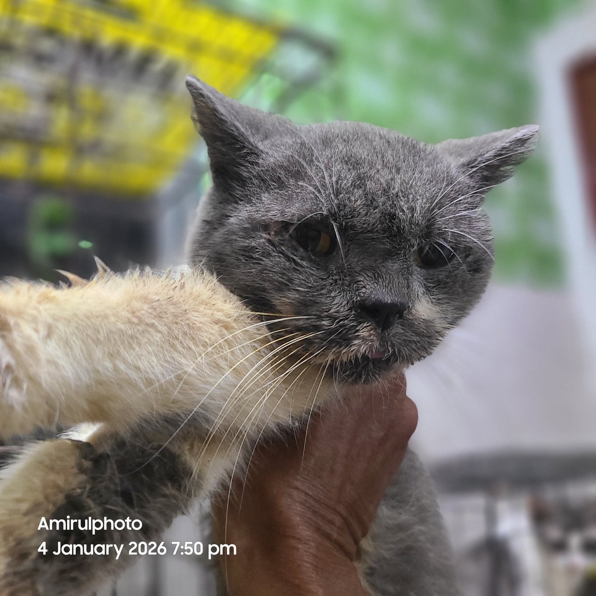 Mirul_Amirul tweet media