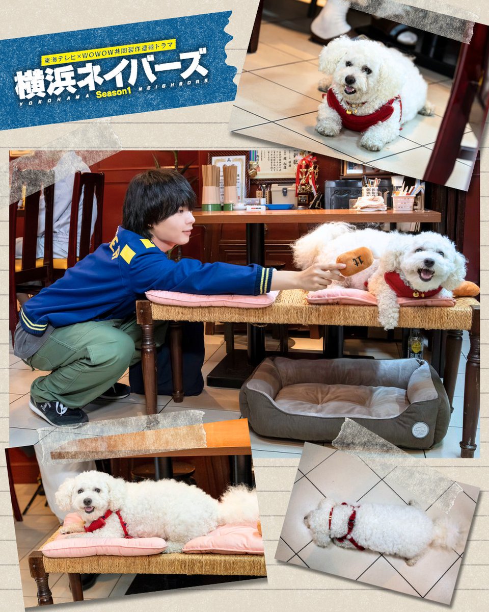 ロンちゃんとロンロンちゃん🐱🧡🐶 どちらもかわちぃ…