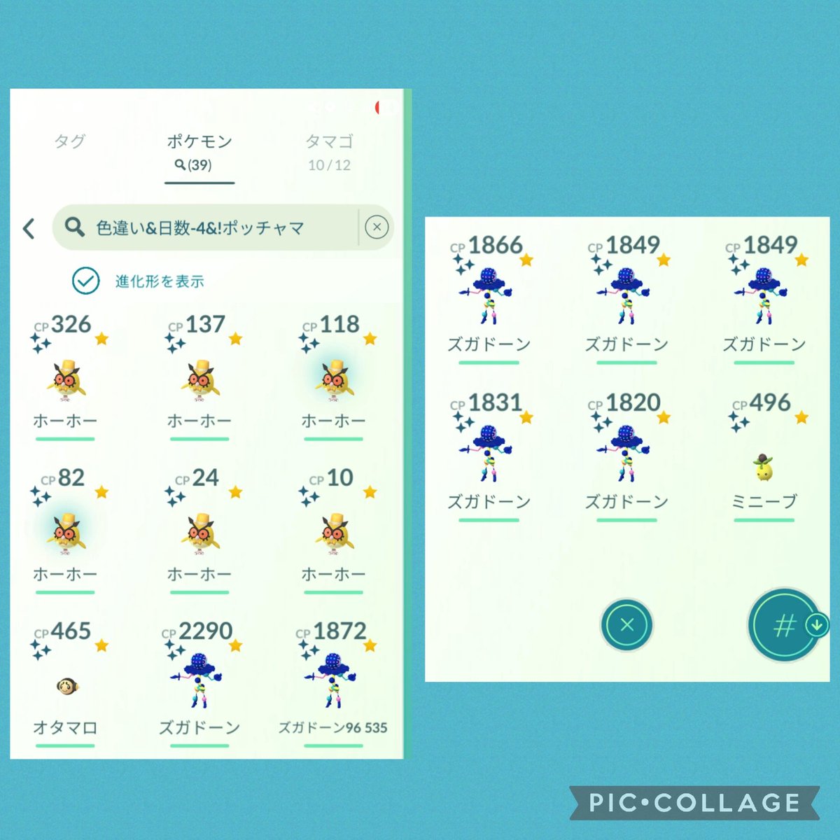 お正月イベントお疲れ様でした🙇 結構色違い出たね🤭 今日のポッチャマ