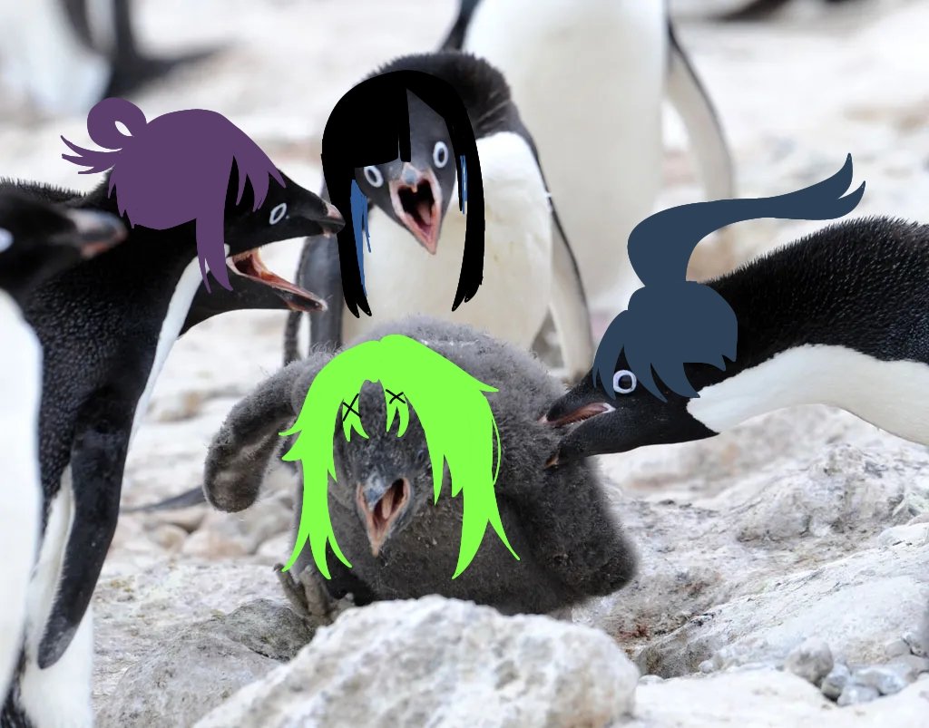 민초만두🥟 (@gimbongji331725) on Twitter photo 