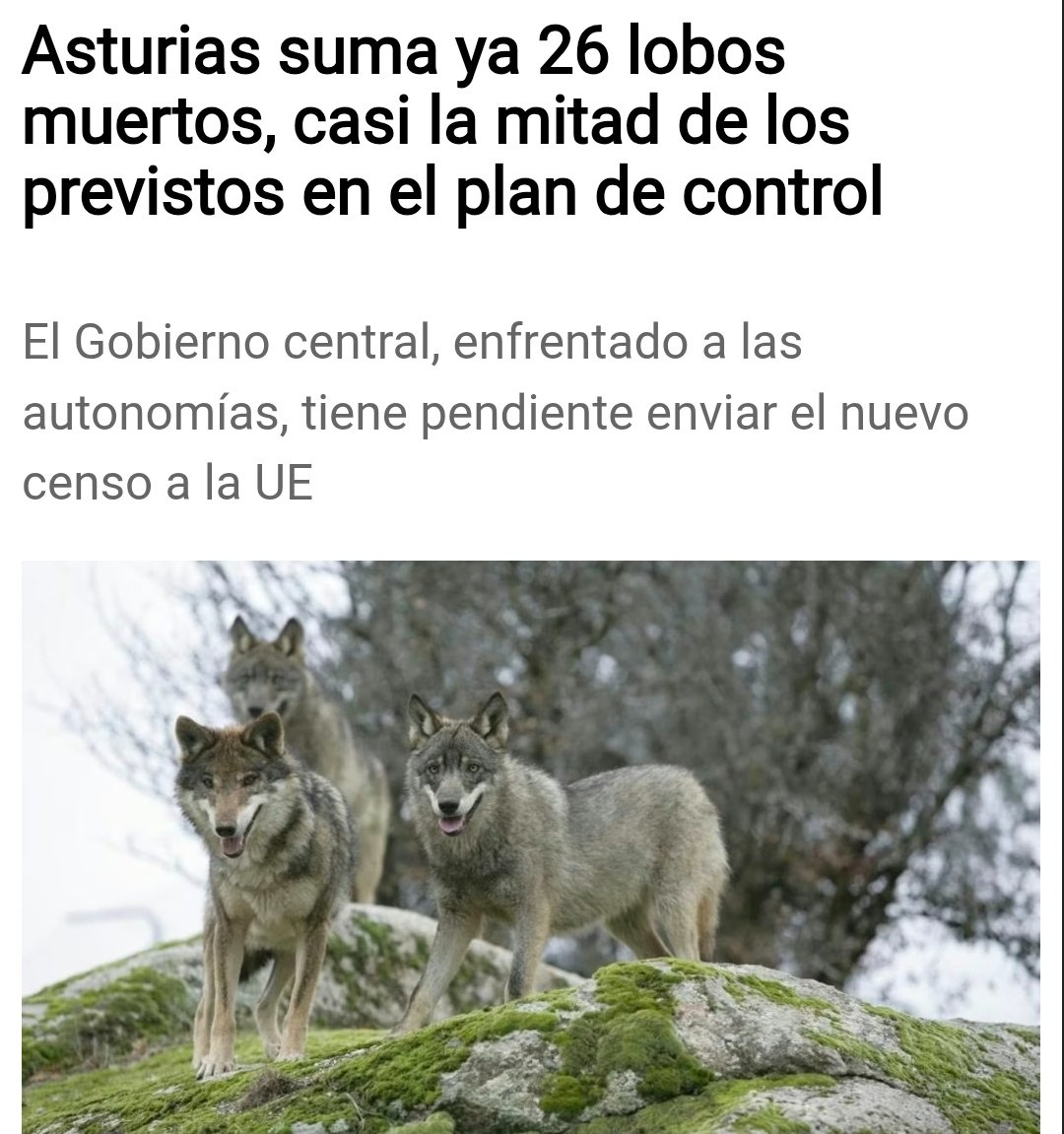 Felicidades monstruo!!!