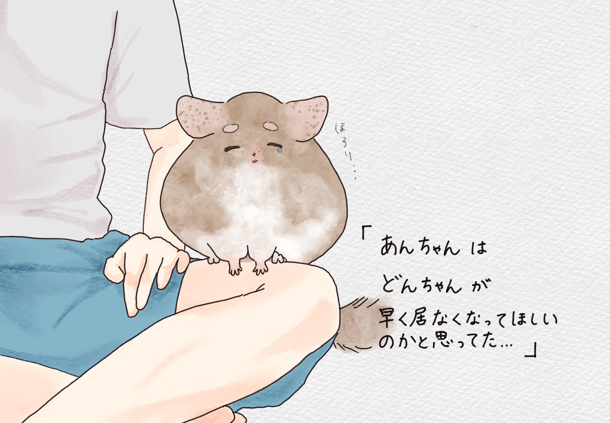 「あんちゃんは　どんちゃんが　早く居なくなってほしいのかと思ってた…」