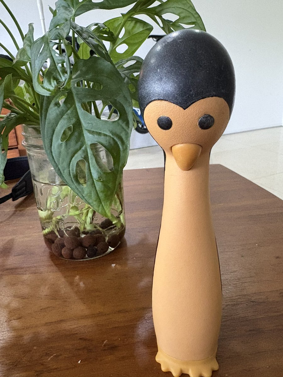 【avocado先生】 うちのペンギン🐧