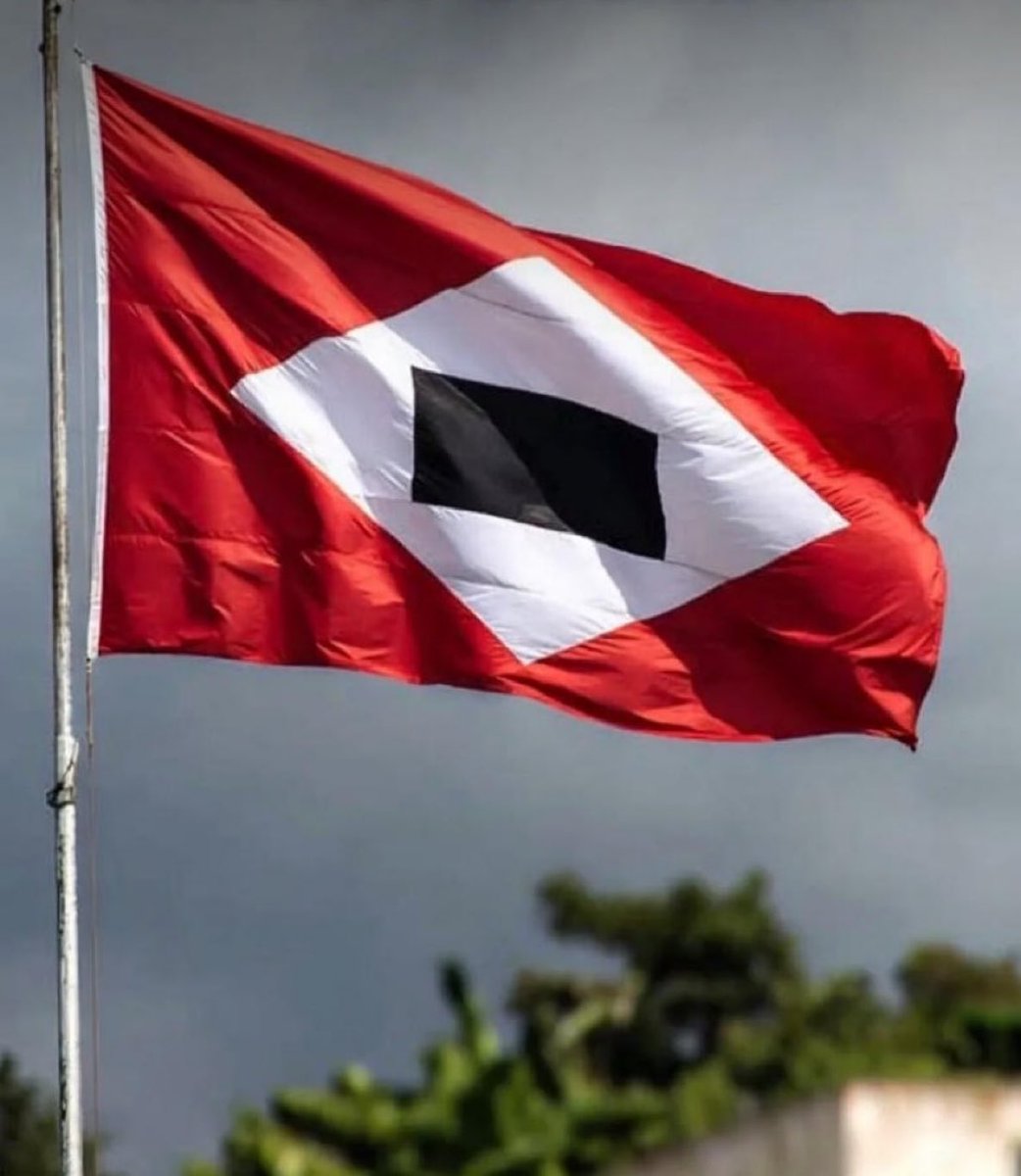 RenataSokolov's tweet photo. La bandera del Cartel de los Soles fue la que mató a Miguel Uribe y la que ayudó a elegir a Petro en el 2022. https://t.co/nGh0YkSl5J