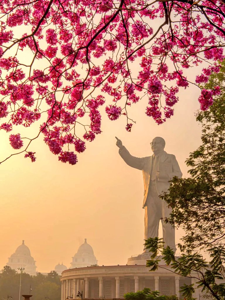 HiHyderabad's tweet image. Bloomy Views of Hyderabad 🏙️🌸😍👌

📸: Jasmeet Singh