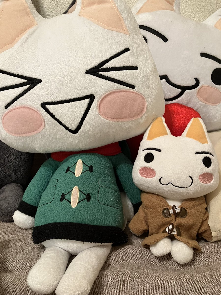 お揃いのお洋服買ってもらったニャ！🧥

#どこでもいっしよ