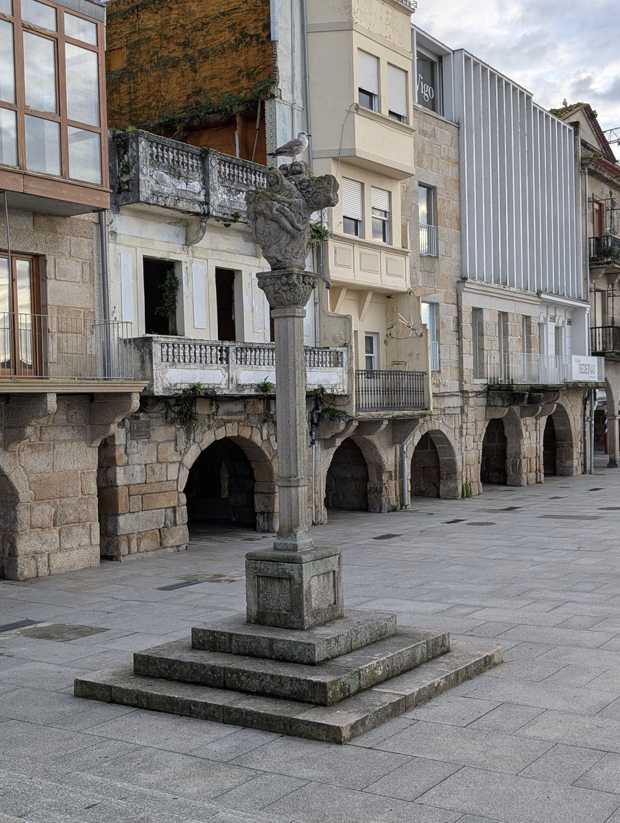 slothdive's tweet image. gallegada estratosférica (hay una gaviota en el cruceiro)