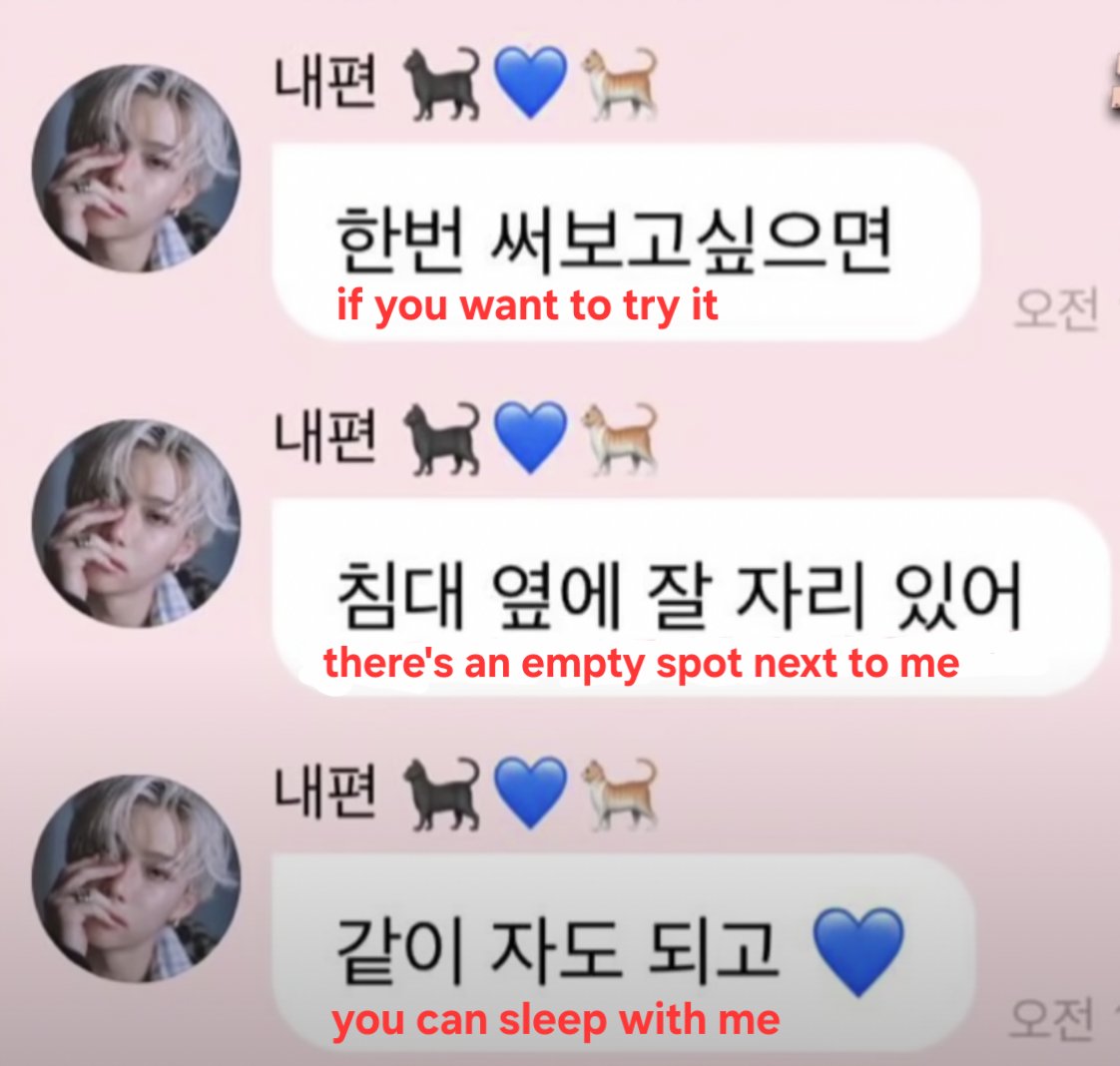 straydogs lying n taking lore out of their ass, to cope w the fact felix creep grooming minor fans to sleep with him in bed