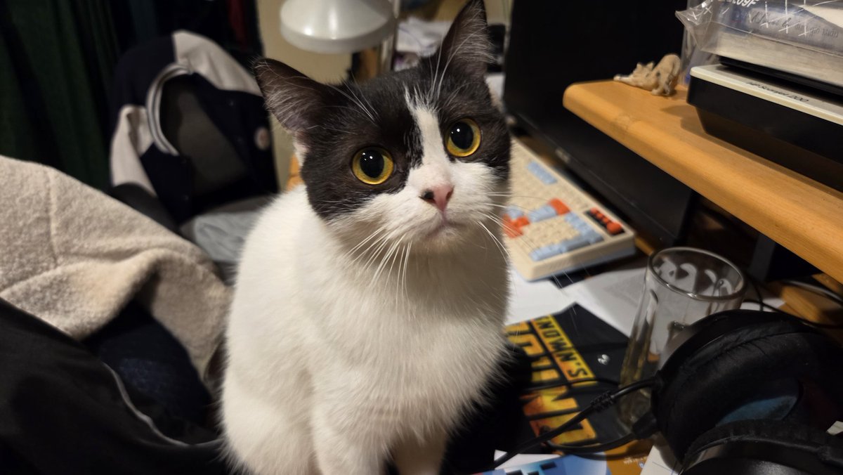 everyone say hi to mari