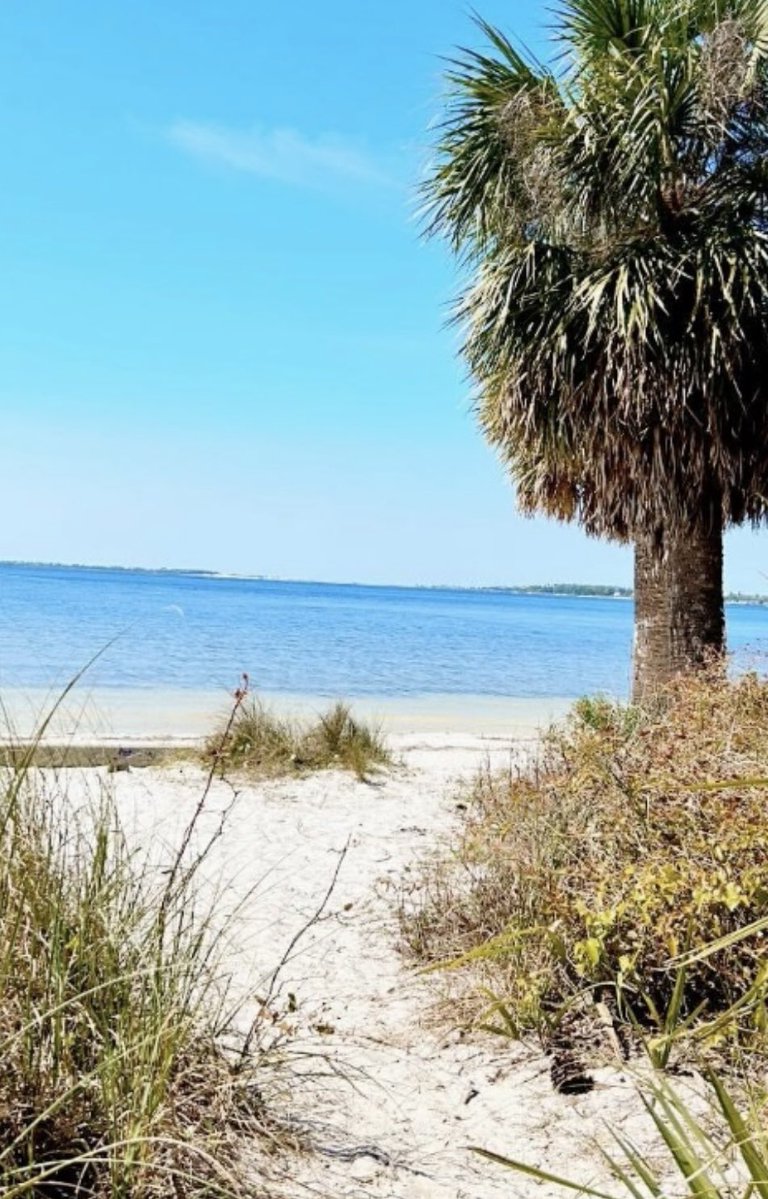 Myprayersforu's tweet image. Dear Lord, our Forgiving Father, we come to You now, to be restored in You, renewed in You, to receive Your life and Your love and all the grace and mercy we so desperately need this day. You alone are worthy of all our worship, our heart’s devotion, all our praise, all our…