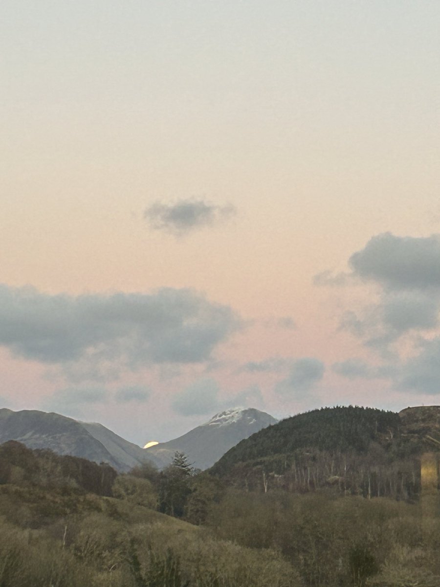 Ian Warren tweet media