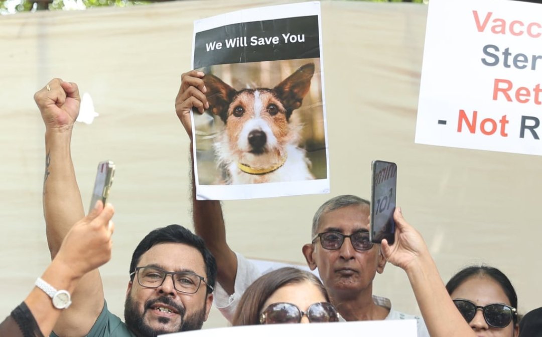 ashokdadhwal196's tweet photo. @SnooopSnoopy From Bangalore to Mangalore, streets speak with one voice—compassion is non-negotiable. India shows up when lives matter. This is DoOrDie. #DoOrDie #SaveIndianDogs #India #AnimalRights #StreetPower https://t.co/Gqy4o7NyZf