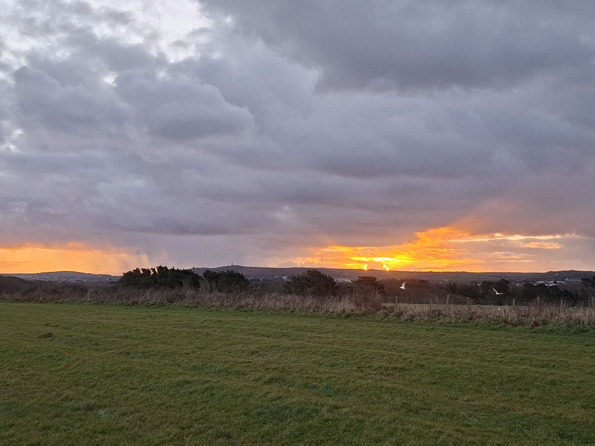 Edward Chapman tweet media