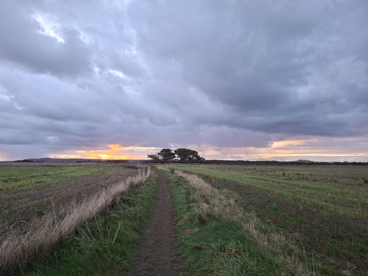 Edward Chapman tweet media