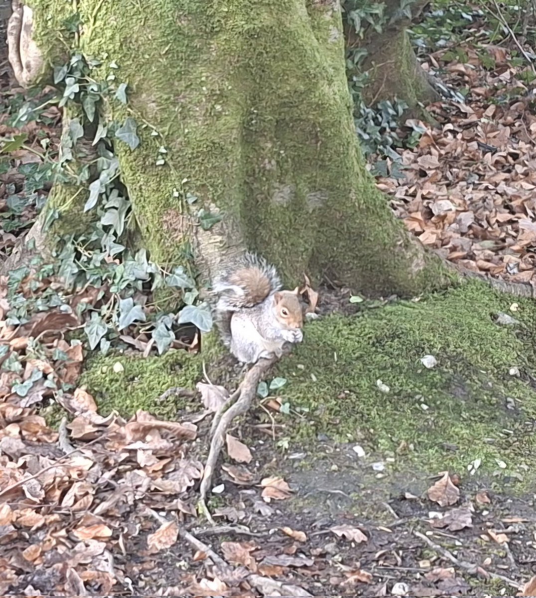 Edward Chapman tweet media