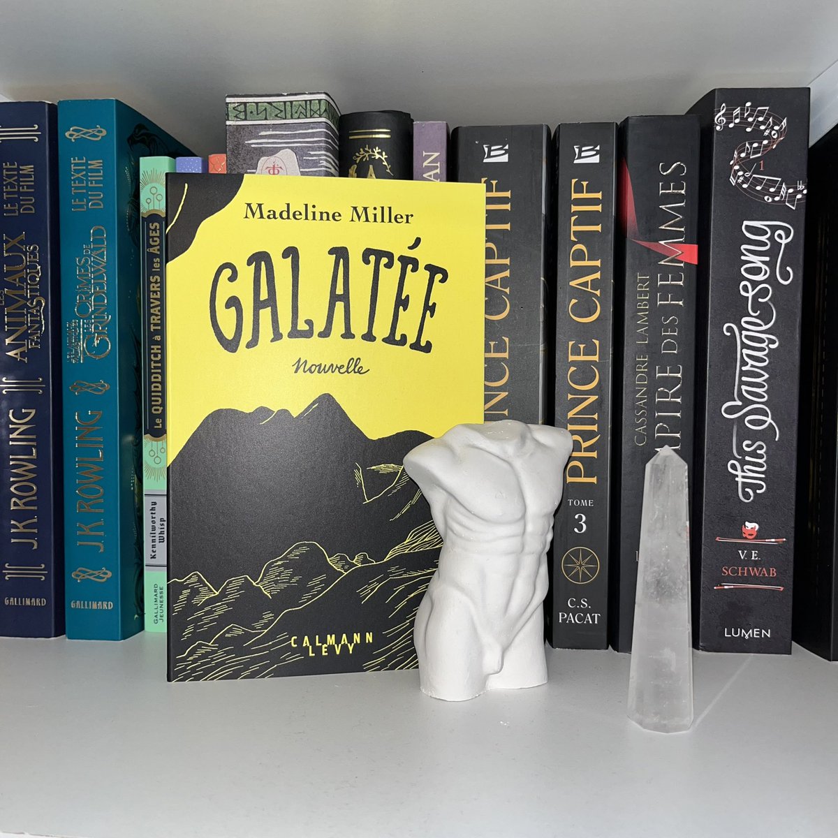 𝐛𝐞𝐭𝐭𝐲’𝐬 𝐠𝐚𝐫𝐝𝐞𝐧 tweet media