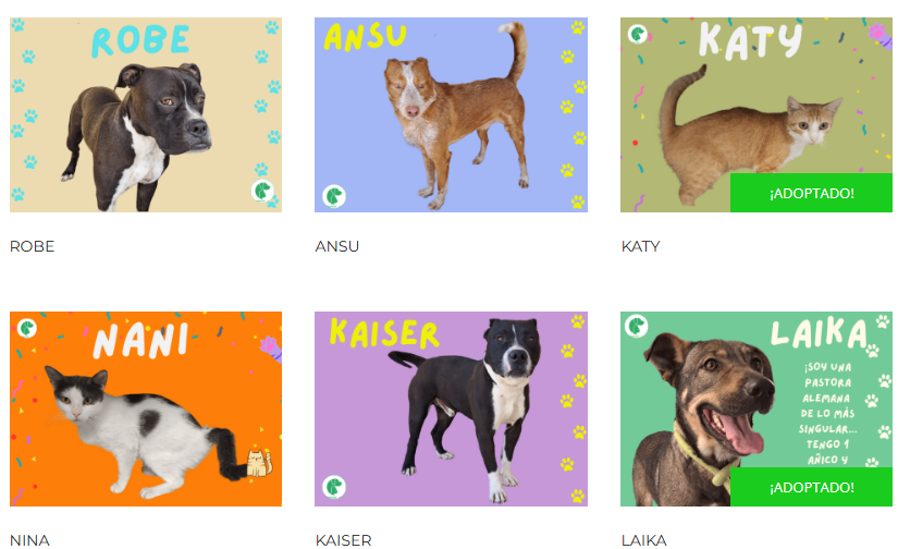 🐾 Una #mascota no es un juguete.
Formar parte de tu familia implica un compromiso para toda la vida.
❤️ Si estás preparado para dar amor y cuidados, ADOPTA.
Descubre el programa de adopción aquí ⬇️
👉 ayuntamientomurcia-salud.es/adoptamur/