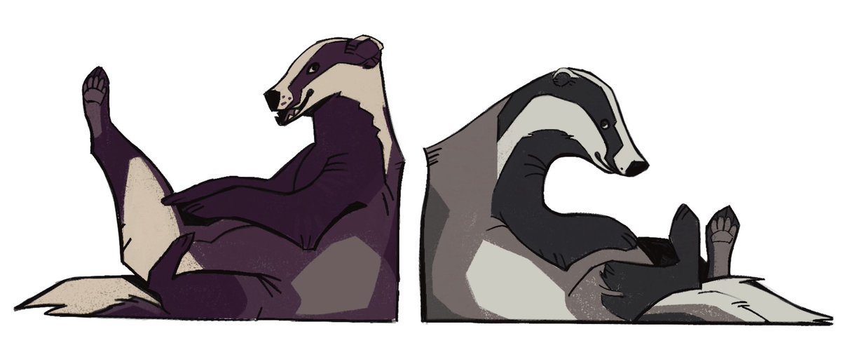 𝙺𝚄𝚁𝙰 ♦︎ working on comms tweet media