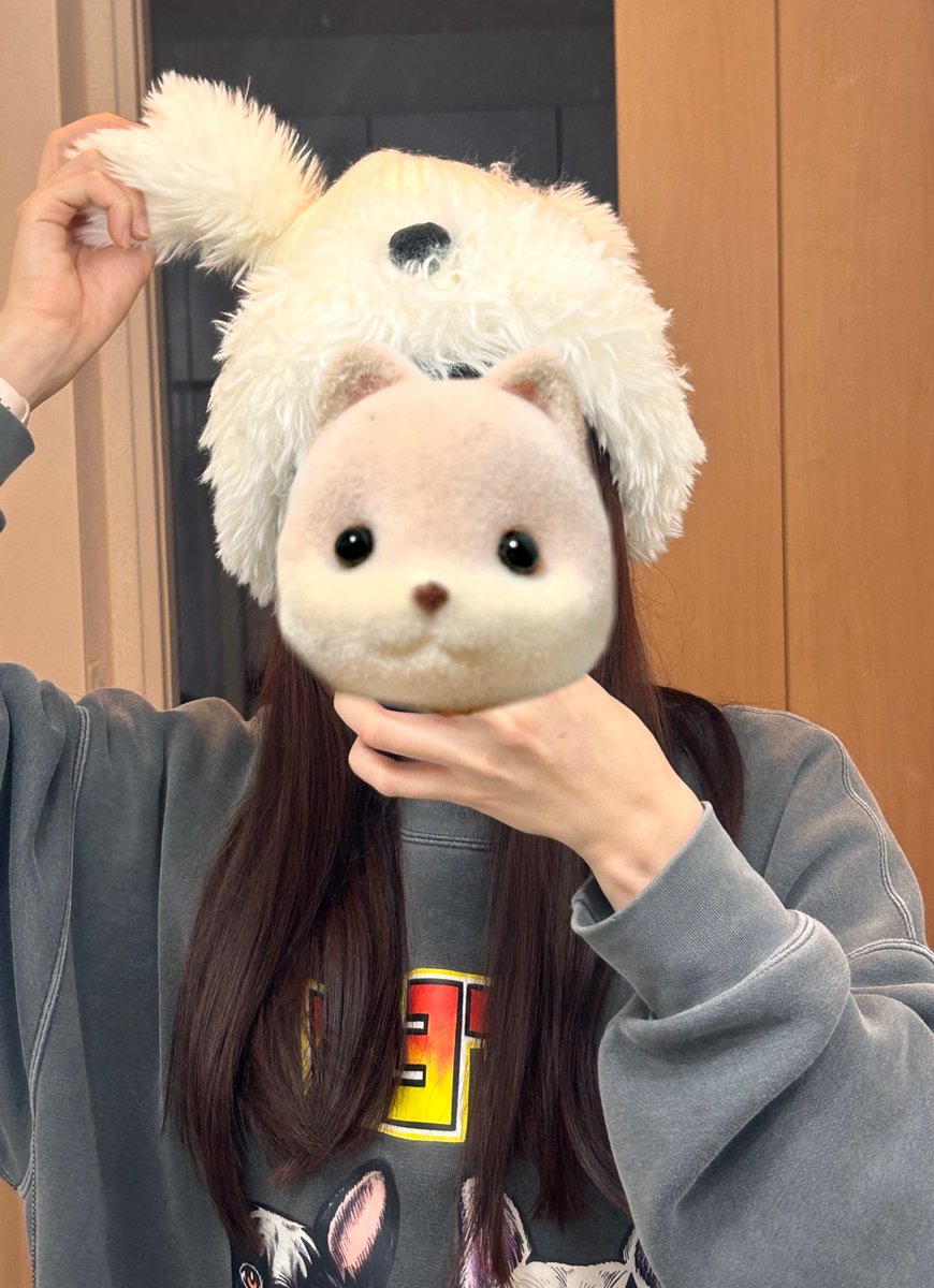 wancun_'s tweet photo. 死ぬほど可愛い帽子手に入れてしまった
ゲレンデ用🏂 https://t.co/6tuTD1meAO