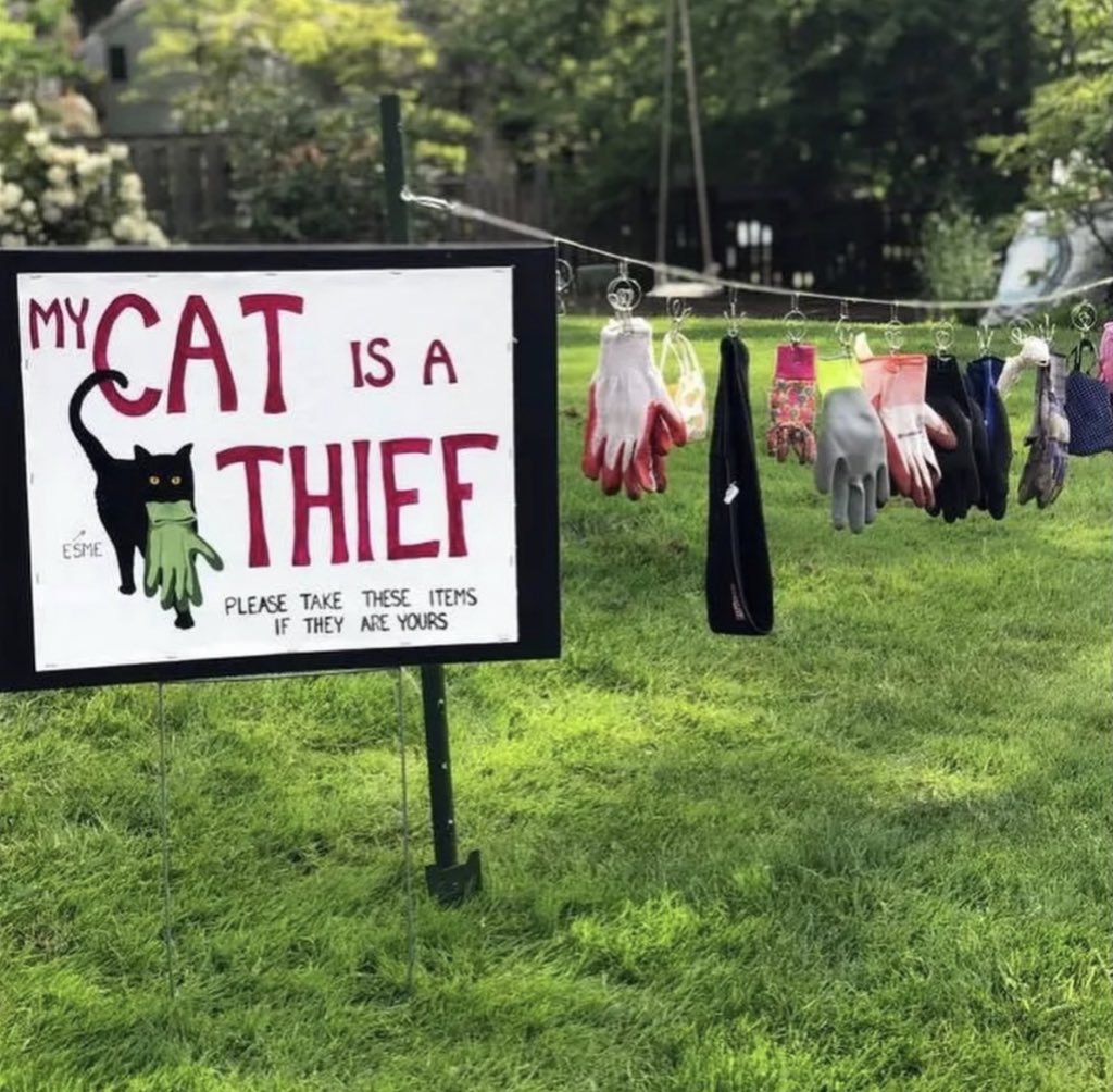 depressionlesss's tweet image. Cat owner in Oregon had to put up a sign for neighbors to reclaim the things their cat kept stealing