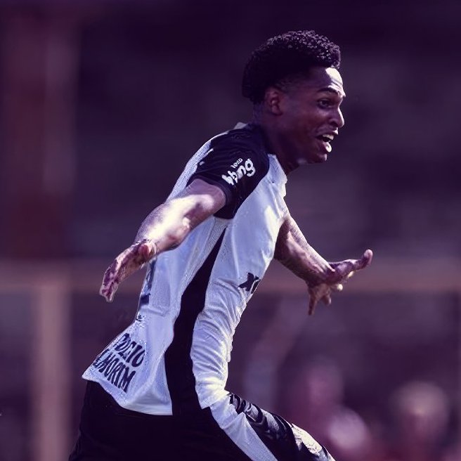 Meu Timão tweet media