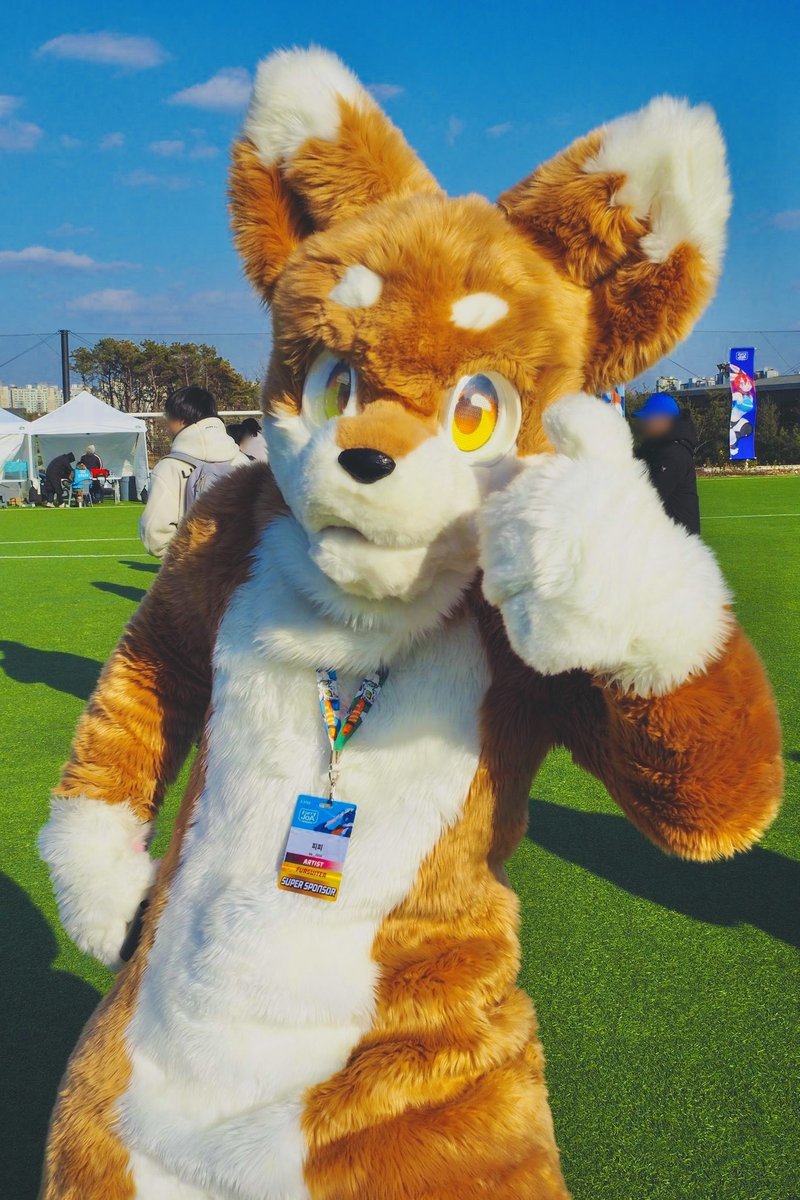 pp (퍼슈트 계정) tweet media