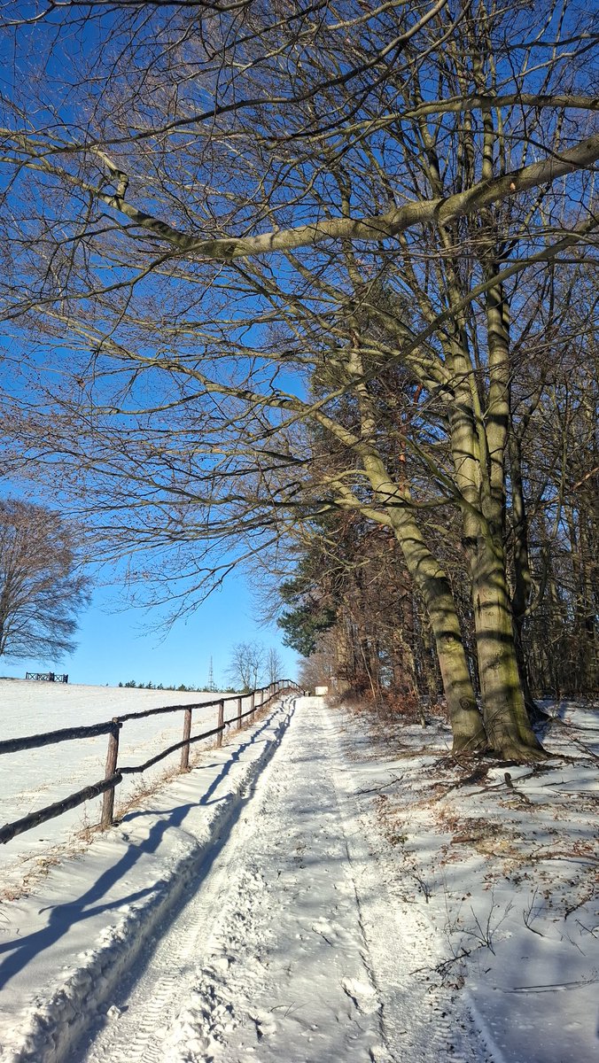 Poranny spacer.  Pogoda dzisiaj rozpieszcza;)