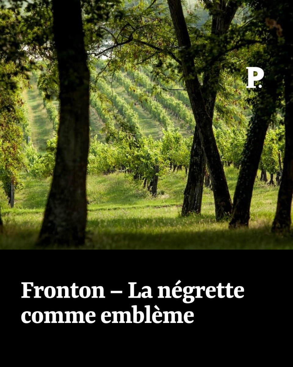 Le Point Vin tweet media