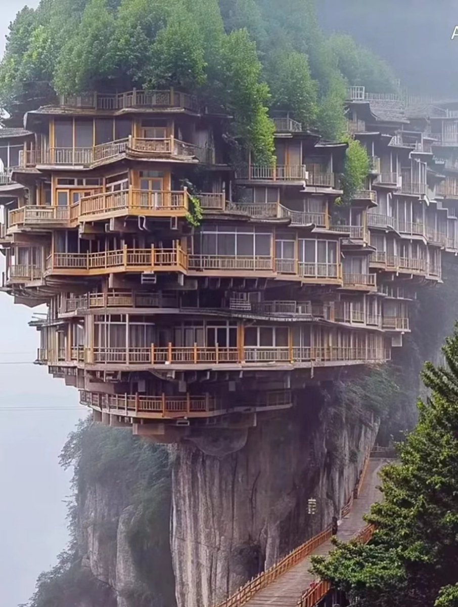 金饱饱🇨🇳(互fo💯回) tweet media