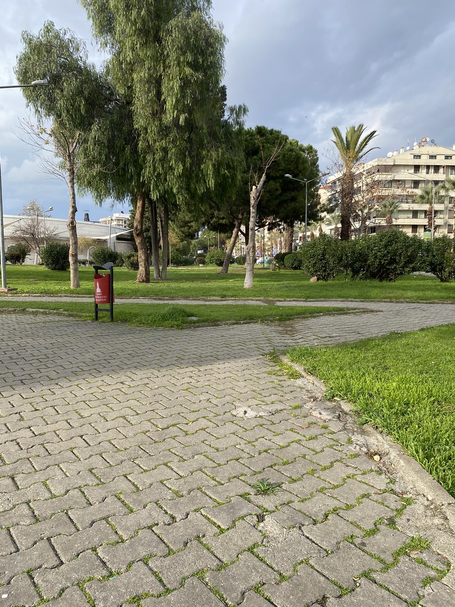 semtteyiz hava super