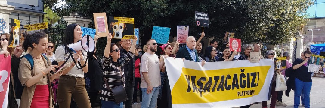 X hesabımız, “spam ve platform manipülasyonu” iddiasıyla kısıtlandı.

Gerçek ise şu:
Hayvan katliamlarına, besleme yasaklarına ve şiddete karşı yapılan çağrılar, hayvan düşmanlarının organize şikâyetleriyle susturulmak isteniyor.

Bu bir spam faaliyeti değil.
Bu, yaşam hakkını