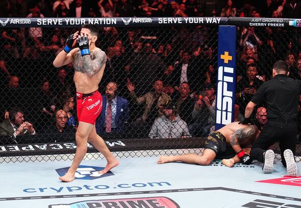 blackcat tweet media