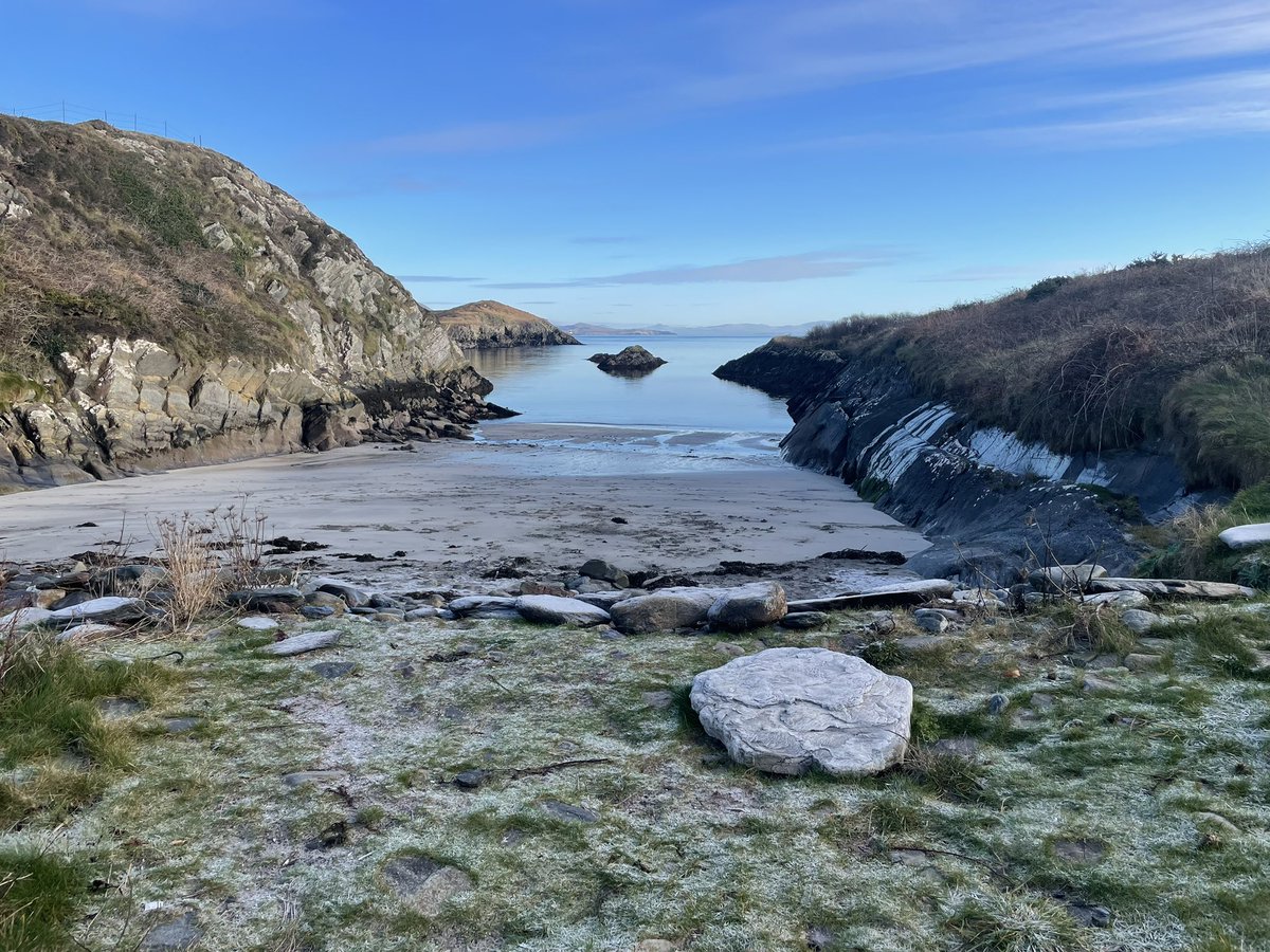 Helen Riddell tweet media