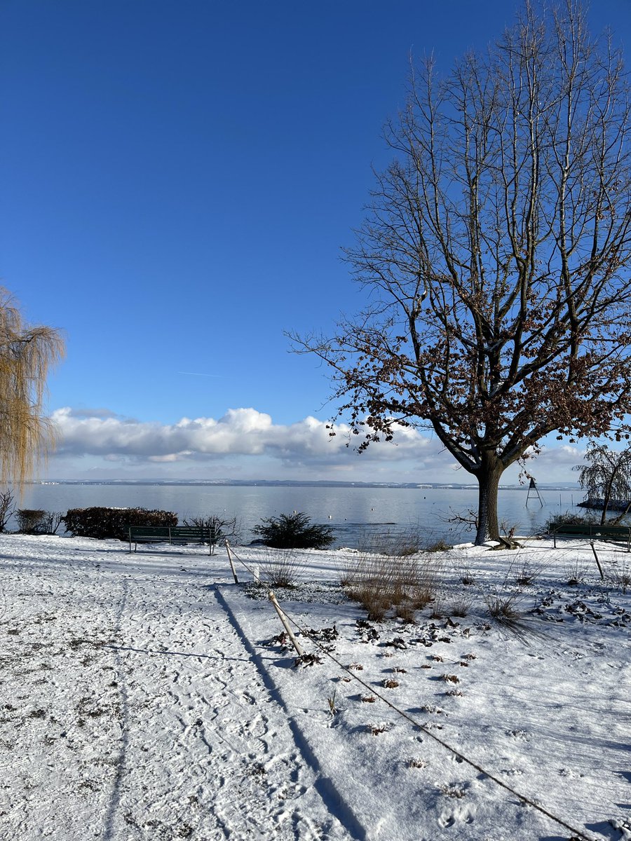 Sonntagnachmittagsspaziergang in der Sonne am See.