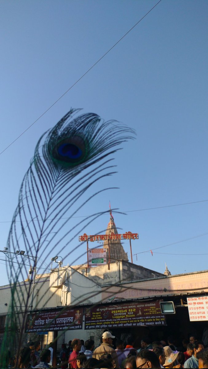 ogale_04's tweet photo. "Feeling blessed and humbled after visiting the sacred Dwarkadhish Temple.
Crossing the stunning Sudarshan Setu was a divine experience 🙏✨ Lord Krishna's city, you've stolen my heart." 💖 #DwarkadhishTemple #SudarshanSetu #DwarkaDham #SpiritualVibes https://t.co/V8pNWRvTgI