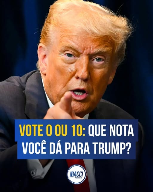 @pontinisandra McCartney tweet media